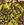 0001_Savage_gear_Deviator_Tail_[Pike].jpg